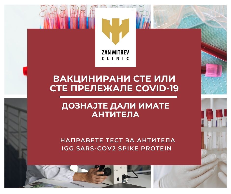 Улогата на тестот за антитела IgG SARS-CoV2 spike protein