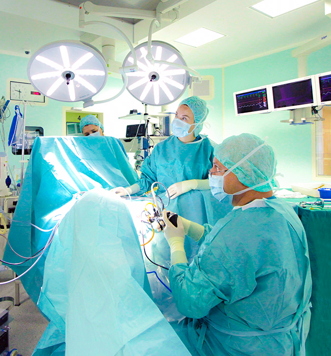 Класични операции (нефректомија и трансвезикална простатектомија)